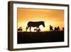 Kenya, Maasai Mara, Mara Triangle, Zebras and Impala at Sunset-Alison Jones-Framed Photographic Print