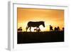 Kenya, Maasai Mara, Mara Triangle, Zebras and Impala at Sunset-Alison Jones-Framed Photographic Print