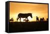 Kenya, Maasai Mara, Mara Triangle, Zebras and Impala at Sunset-Alison Jones-Framed Stretched Canvas