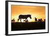 Kenya, Maasai Mara, Mara Triangle, Zebras and Impala at Sunset-Alison Jones-Framed Photographic Print