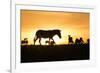 Kenya, Maasai Mara, Mara Triangle, Zebras and Impala at Sunset-Alison Jones-Framed Photographic Print