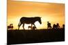 Kenya, Maasai Mara, Mara Triangle, Zebras and Impala at Sunset-Alison Jones-Mounted Photographic Print