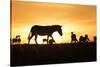 Kenya, Maasai Mara, Mara Triangle, Zebras and Impala at Sunset-Alison Jones-Stretched Canvas