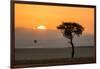 Kenya, Maasai Mara, Sunrise Behind Balanites Tree and Hot Air Balloon-Alison Jones-Framed Photographic Print