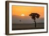 Kenya, Maasai Mara, Sunrise Behind Balanites Tree and Hot Air Balloon-Alison Jones-Framed Photographic Print