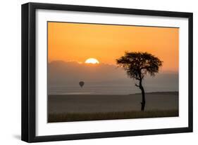 Kenya, Maasai Mara, Sunrise Behind Balanites Tree and Hot Air Balloon-Alison Jones-Framed Photographic Print