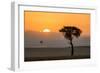 Kenya, Maasai Mara, Sunrise Behind Balanites Tree and Hot Air Balloon-Alison Jones-Framed Photographic Print