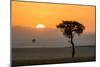 Kenya, Maasai Mara, Sunrise Behind Balanites Tree and Hot Air Balloon-Alison Jones-Mounted Photographic Print