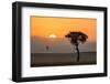 Kenya, Maasai Mara, Sunrise Behind Balanites Tree and Hot Air Balloon-Alison Jones-Framed Photographic Print