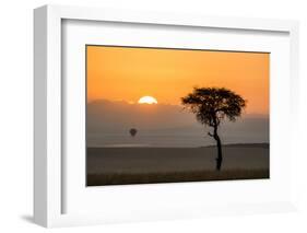 Kenya, Maasai Mara, Sunrise Behind Balanites Tree and Hot Air Balloon-Alison Jones-Framed Photographic Print