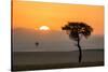 Kenya, Maasai Mara, Sunrise Behind Balanites Tree and Hot Air Balloon-Alison Jones-Stretched Canvas