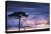 Kenya, Maasai Mara. Sunset after Storm on Plains-Kent Foster-Stretched Canvas