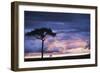 Kenya, Maasai Mara. Sunset after Storm on Plains-Kent Foster-Framed Photographic Print