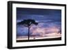 Kenya, Maasai Mara. Sunset after Storm on Plains-Kent Foster-Framed Photographic Print