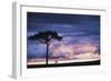 Kenya, Maasai Mara. Sunset after Storm on Plains-Kent Foster-Framed Photographic Print