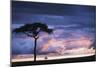 Kenya, Maasai Mara. Sunset after Storm on Plains-Kent Foster-Mounted Photographic Print