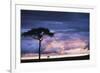 Kenya, Maasai Mara. Sunset after Storm on Plains-Kent Foster-Framed Photographic Print