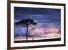 Kenya, Maasai Mara. Sunset after Storm on Plains-Kent Foster-Framed Photographic Print