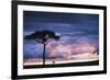 Kenya, Maasai Mara. Sunset after Storm on Plains-Kent Foster-Framed Photographic Print