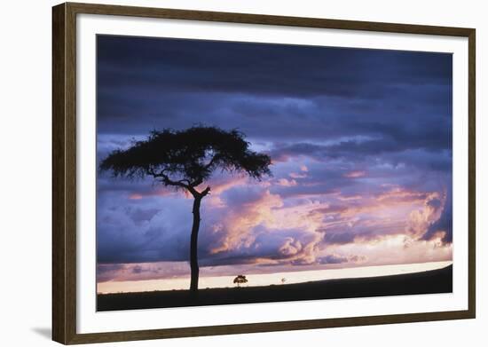 Kenya, Maasai Mara. Sunset after Storm on Plains-Kent Foster-Framed Photographic Print