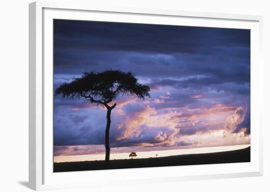 Kenya, Maasai Mara. Sunset after Storm on Plains-Kent Foster-Framed Photographic Print