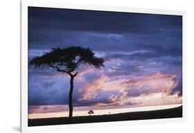 Kenya, Maasai Mara. Sunset after Storm on Plains-Kent Foster-Framed Photographic Print