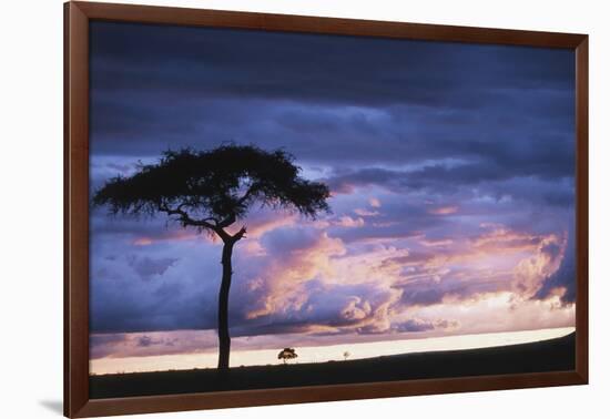 Kenya, Maasai Mara. Sunset after Storm on Plains-Kent Foster-Framed Photographic Print