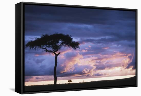 Kenya, Maasai Mara. Sunset after Storm on Plains-Kent Foster-Framed Stretched Canvas