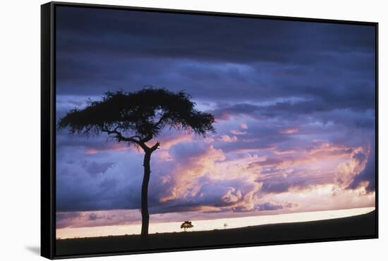 Kenya, Maasai Mara. Sunset after Storm on Plains-Kent Foster-Framed Stretched Canvas