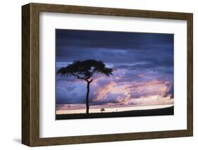 Kenya, Maasai Mara. Sunset after Storm on Plains-Kent Foster-Framed Photographic Print