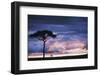 Kenya, Maasai Mara. Sunset after Storm on Plains-Kent Foster-Framed Photographic Print