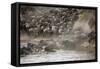 Kenya, Maasai Mara, Wildebeest Crossing the Mara River-Hollice Looney-Framed Stretched Canvas