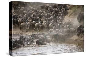 Kenya, Maasai Mara, Wildebeest Crossing the Mara River-Hollice Looney-Stretched Canvas