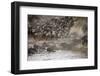 Kenya, Maasai Mara, Wildebeest Crossing the Mara River-Hollice Looney-Framed Premium Photographic Print