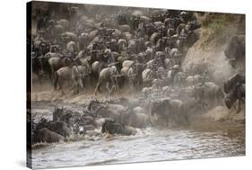 Kenya, Maasai Mara, Wildebeest Crossing the Mara River-Hollice Looney-Stretched Canvas