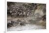 Kenya, Maasai Mara, Wildebeest Crossing the Mara River-Hollice Looney-Framed Photographic Print