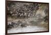 Kenya, Maasai Mara, Wildebeest Crossing the Mara River-Hollice Looney-Framed Photographic Print