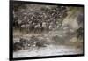 Kenya, Maasai Mara, Wildebeest Crossing the Mara River-Hollice Looney-Framed Photographic Print