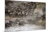 Kenya, Maasai Mara, Wildebeest Crossing the Mara River-Hollice Looney-Mounted Photographic Print