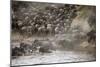 Kenya, Maasai Mara, Wildebeest Crossing the Mara River-Hollice Looney-Mounted Photographic Print