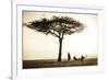 Kenya, Mara North Conservancy. a Couple Enjoy a Sundowner-Niels Van Gijn-Framed Photographic Print