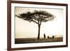 Kenya, Mara North Conservancy. a Couple Enjoy a Sundowner-Niels Van Gijn-Framed Photographic Print