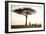 Kenya, Mara North Conservancy. a Couple Enjoy a Sundowner-Niels Van Gijn-Framed Photographic Print