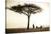 Kenya, Mara North Conservancy. a Couple Enjoy a Sundowner-Niels Van Gijn-Stretched Canvas