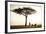 Kenya, Mara North Conservancy. a Couple Enjoy a Sundowner-Niels Van Gijn-Framed Photographic Print