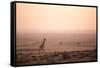 Kenya, Mara North Conservancy. a Young Giraffe with Never Ending Plains of Maasai Mara Behind-Niels Van Gijn-Framed Stretched Canvas