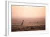 Kenya, Mara North Conservancy. a Young Giraffe with Never Ending Plains of Maasai Mara Behind-Niels Van Gijn-Framed Photographic Print