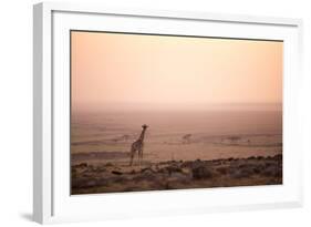 Kenya, Mara North Conservancy. a Young Giraffe with Never Ending Plains of Maasai Mara Behind-Niels Van Gijn-Framed Photographic Print