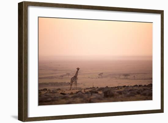 Kenya, Mara North Conservancy. a Young Giraffe with Never Ending Plains of Maasai Mara Behind-Niels Van Gijn-Framed Photographic Print