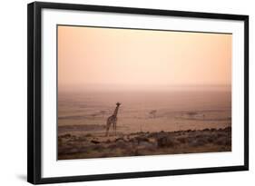 Kenya, Mara North Conservancy. a Young Giraffe with Never Ending Plains of Maasai Mara Behind-Niels Van Gijn-Framed Photographic Print